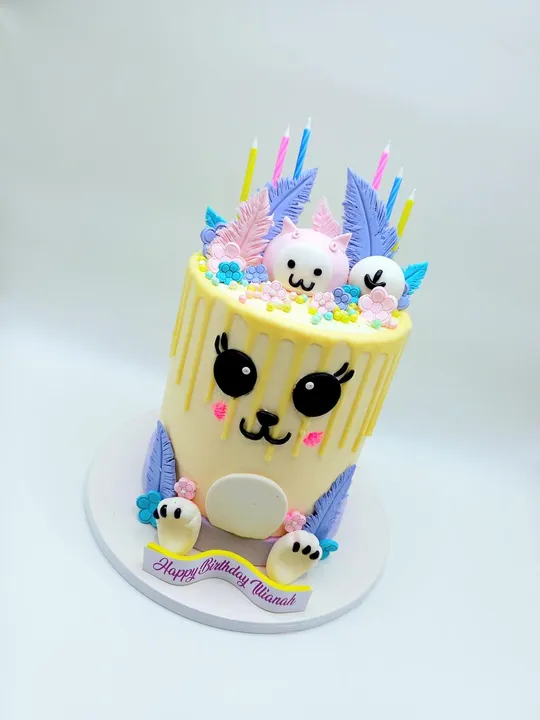 Pastel llama face drip cake with feathers